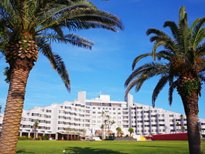 �G�[�XJTB�F�U�E���C�K���Y